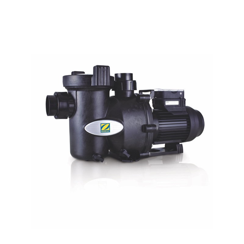 Variable speed pump